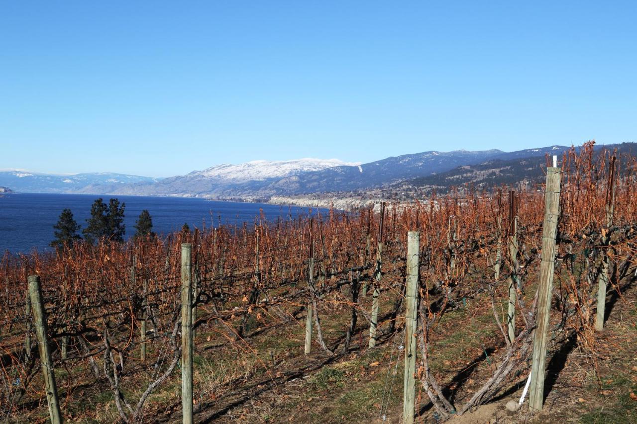 Hotel Sunshine&Wine Loft Penticton Exterior foto